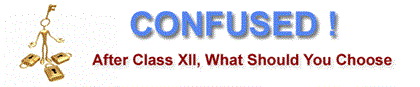 Career Aptitude Test for Class XII Students