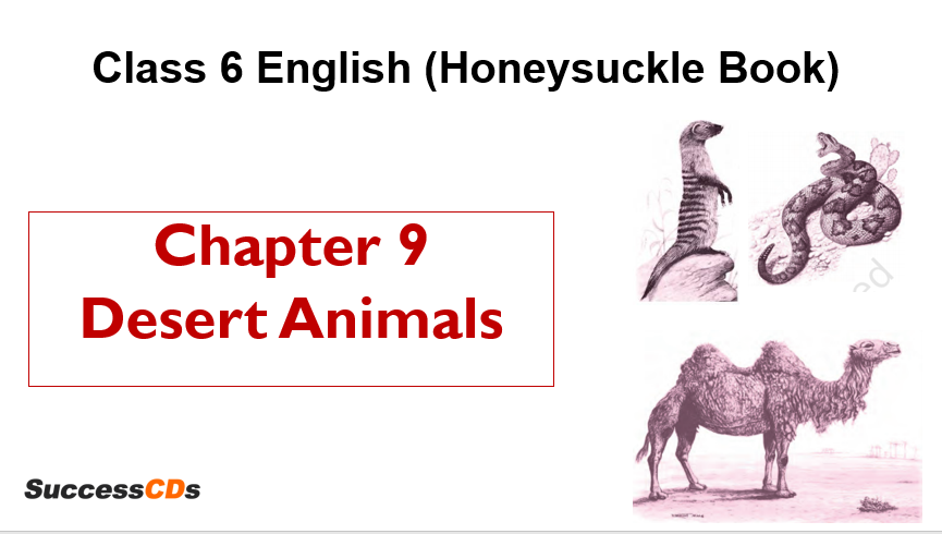 NCERT Class 6 English Lesson Explanation, Summary, Question Answers