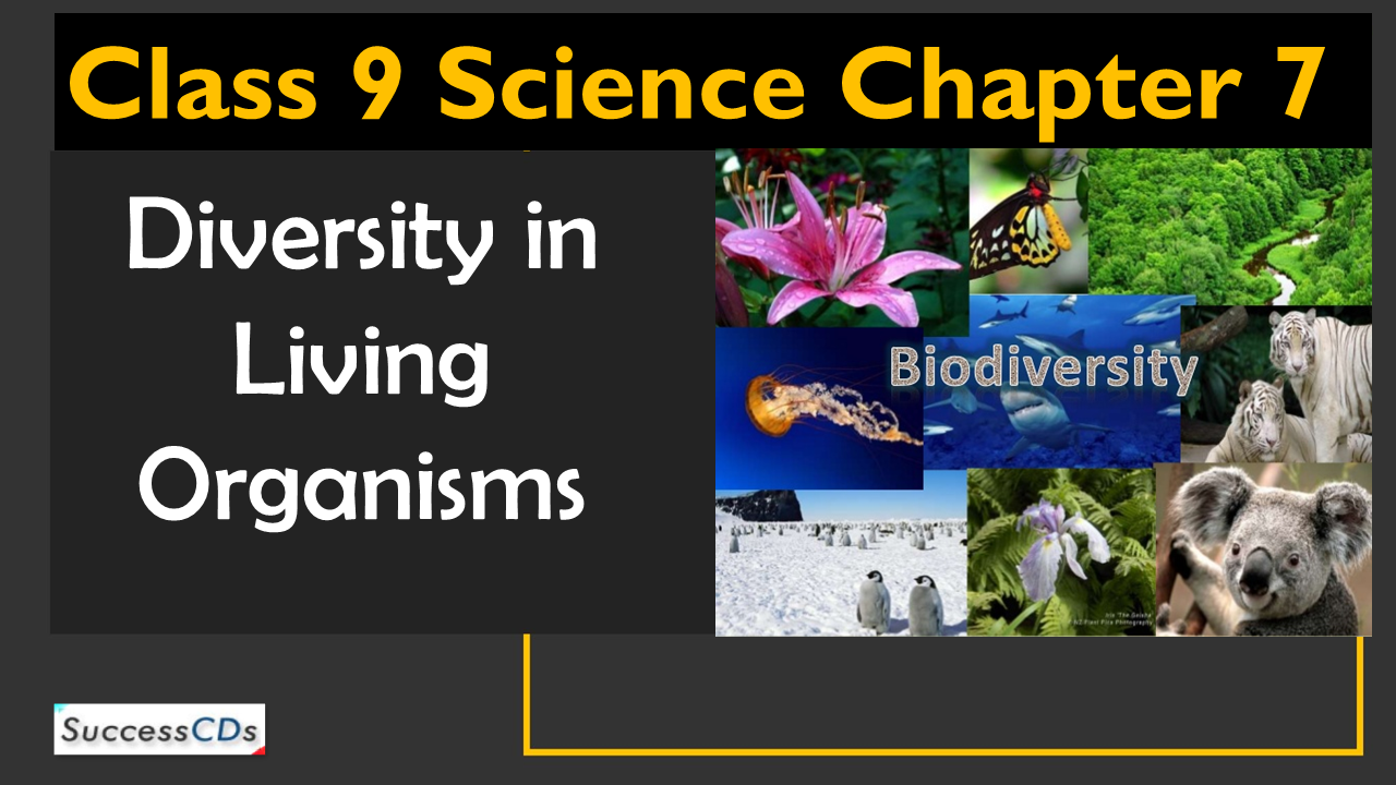diversity in living organisms
