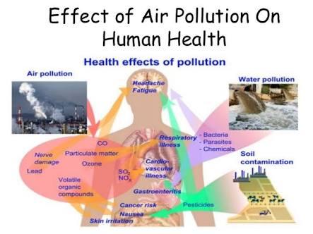 effect of air pollution