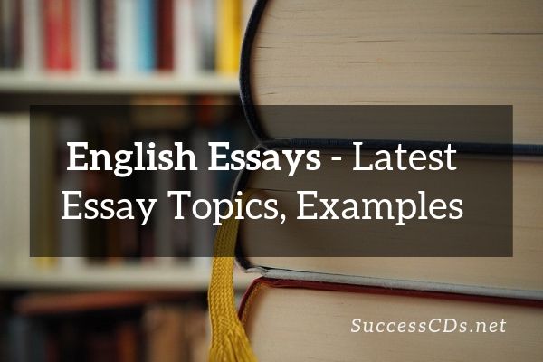 essays meaning english