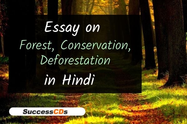 essay on forest conservation deforestation in hindi