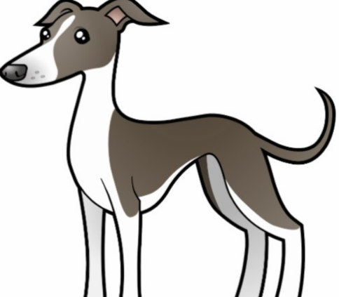 A Triumph Of Surgery Class 10 Footprints Without Feet English Lesson Summary Explanation Notes