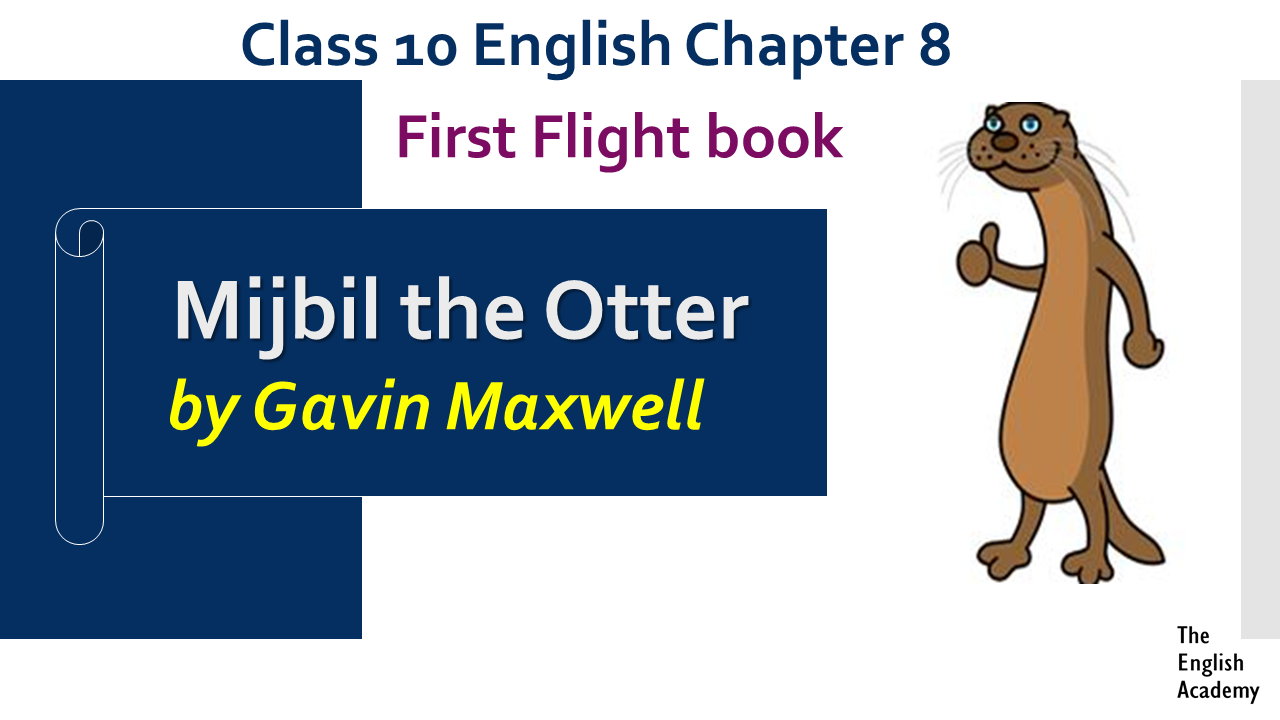 Mijbil the Otter Class 10 Summary, Explanation, Difficult Words