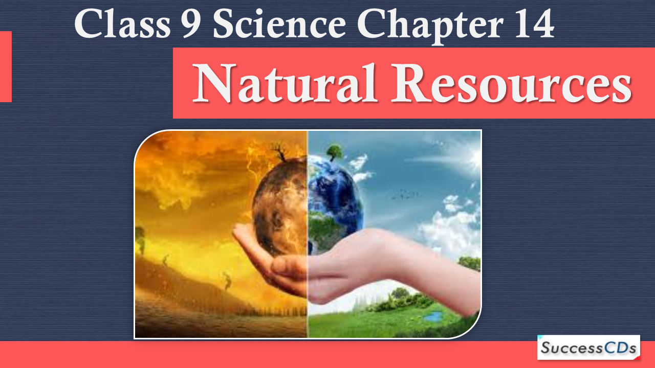 Natural resources essay