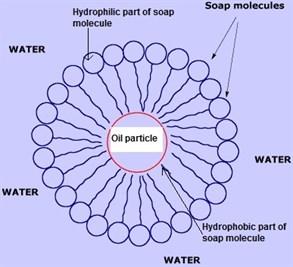 oil particle