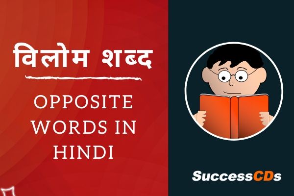 विलोम शब्द, opposite words in hindi, vilom shabd in Hindi 
