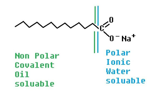 polar non polar covalent oil soluable