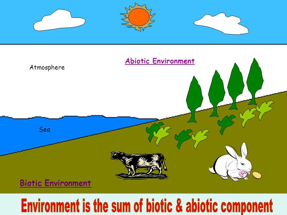 components of environment