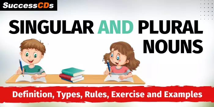 Singular and Plural Nouns Definition, Rules, Exercise and Examples