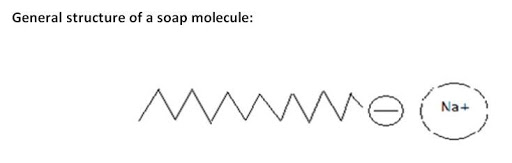 soaps molecule