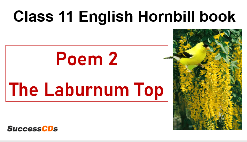 The Laburnum Clas 11 English Poem 2 Summary Explanation Question Answer Paraphrasing Of Horse By Ted Hughes Hughe 
