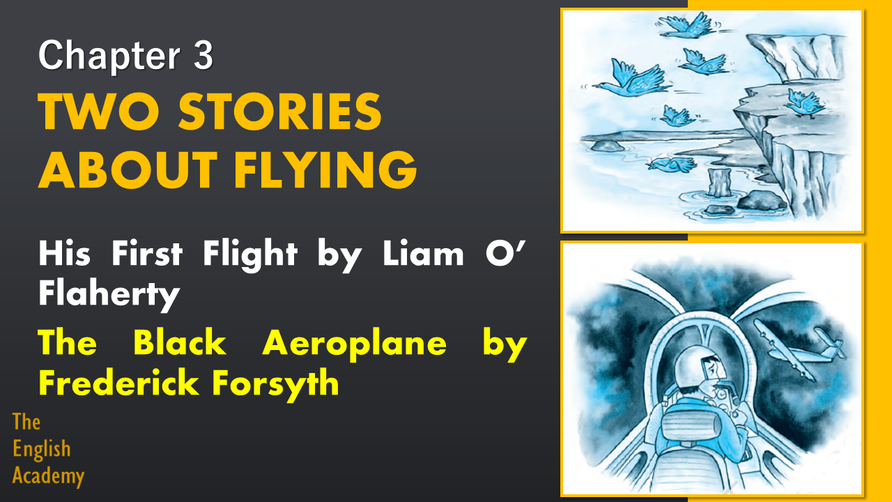 two stories about flying
