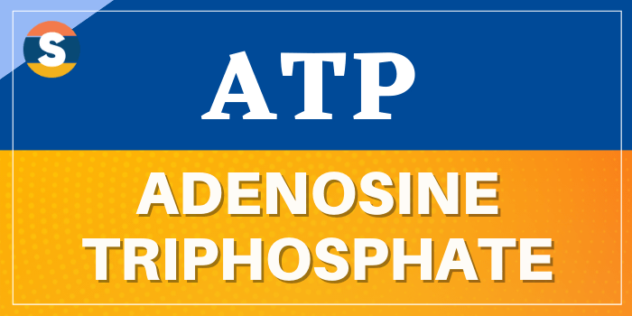 Full form of ATP is Adenosine Triphosphate