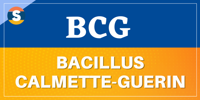 BCG Full Form, What is the Full form of BCG ?