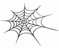 a spiders web
