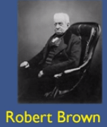 robert-brown