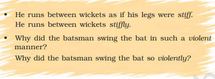 the story of cricket