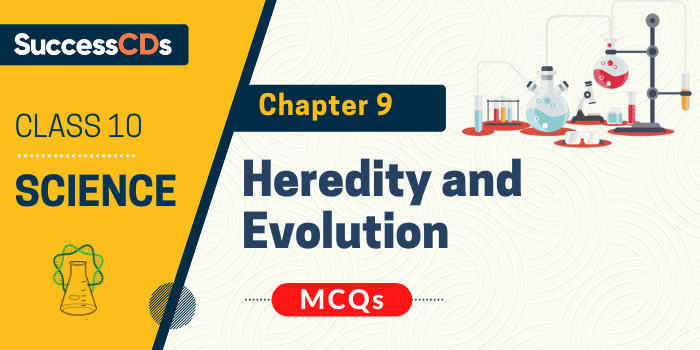 heredity and evolution mcqs
