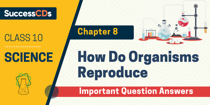 How Do Organisms Reproduce Important Question Answers Class 10