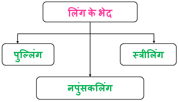 Types of Gender in Hindi