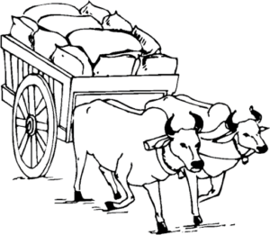 Bullock cart