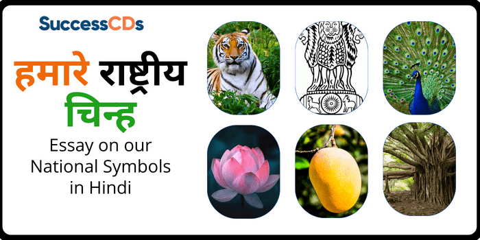 गाने में प्रयुक्त प्रतीकों और रूपकों का अर्थ