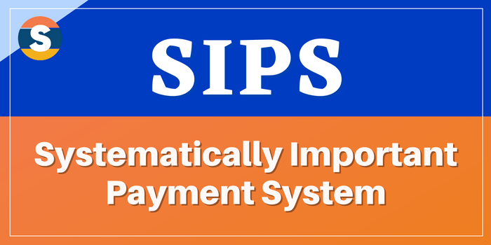 Systematically Important Payment System