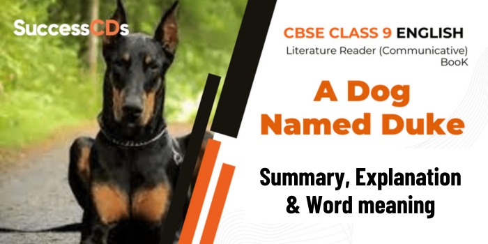 A Dog Named Duke Summary