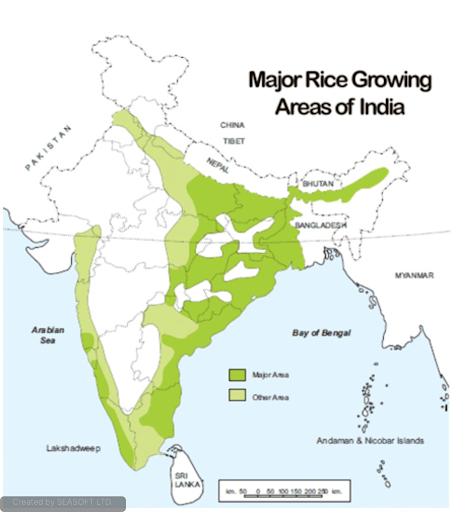 major rice growing area of india