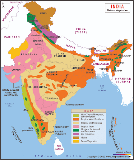 map of India mark the natural vegetation of India