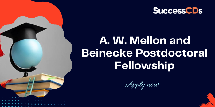 A W Mellon and Beinecke Postdoctoral Fellowship