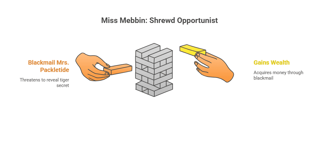 Character Sketch of Miss Mebbin