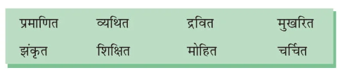 class 7 hindi chapter 19 image1