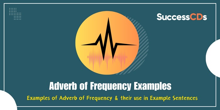 Adverb of Frequency Examples