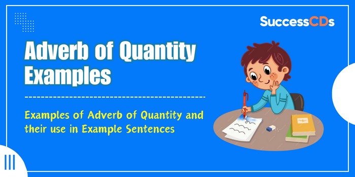 Adverb of Quantity Examples