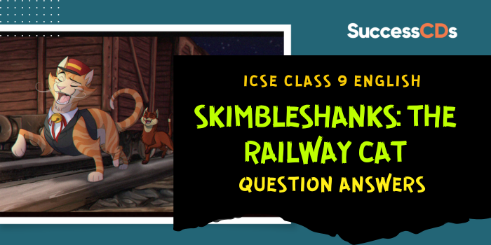 Skimbleshanks: The Railway Cat Question Answers