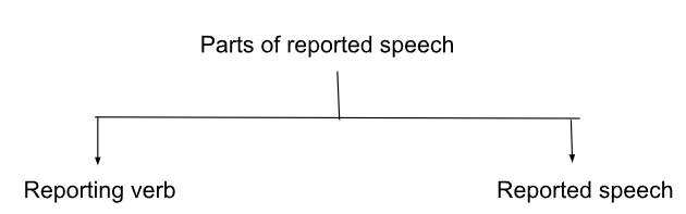 parts of reported speech