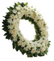 A Homage to Our Brave Soldiers QNA Img 1