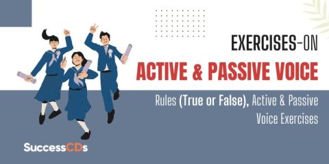 Exercises on Active and Passive Voice Rules (True or False), Active and ...