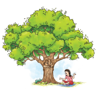 Neem Baba Summary Image 1