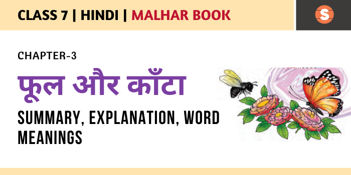 Phool Aur Kaanta Summary