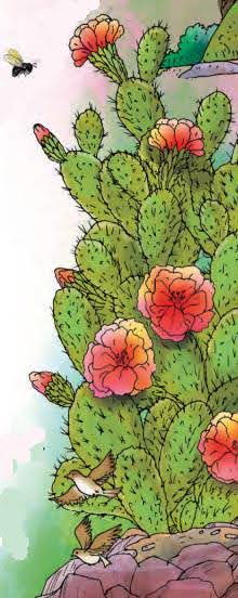 Phool Aur Kaanta Summary img 1