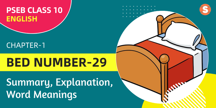 Bed Number-29-Summary