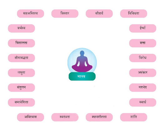 Aadmi ka anupat QNA img2