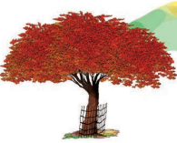 Mat Bandho QNA img 1