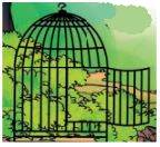 Mat Bandho Summary img 1