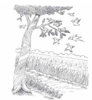 Gata Khag Summary img1