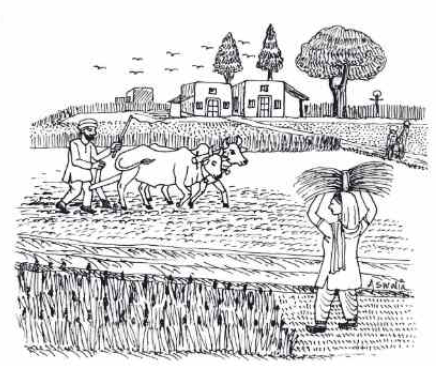 Hum Rajya Liye Marte Hain Summary img1