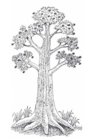 Jad ki Muskaan Summary img1